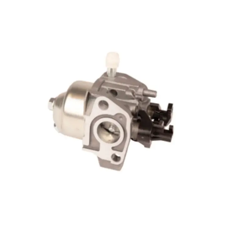 risnedsättning CARBURETTOR