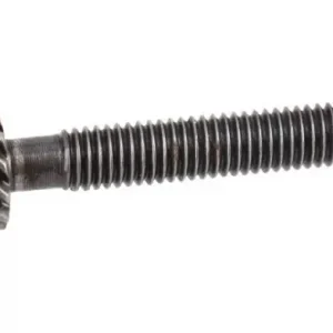 Worm Screw Rea