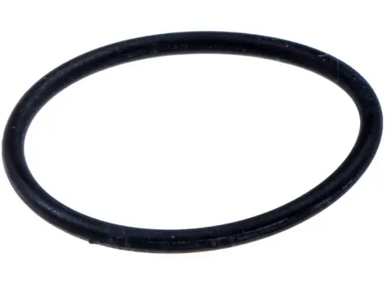 Populärt val O-Ring 5061103-01