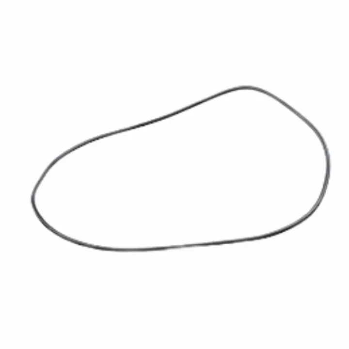 Sista chansen O-Ring