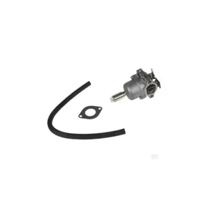 CARBURETOR risnedsättning
